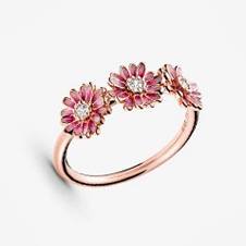 Anillos